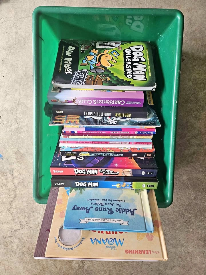 Kid's book bundle