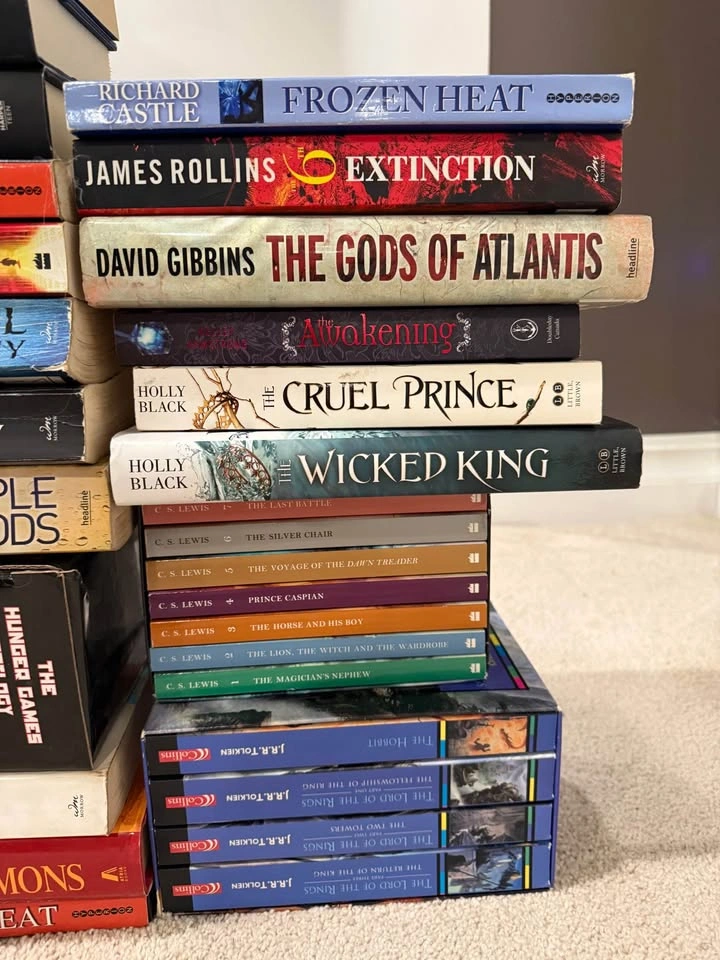 Book lot - photo 4
