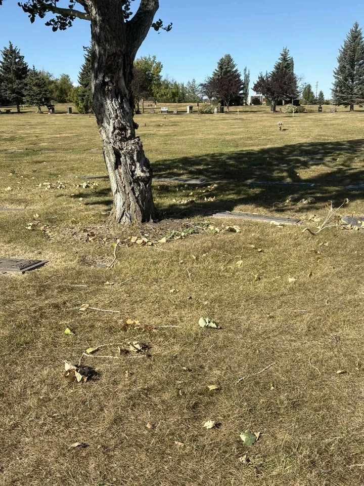 Evergreen Memorial Gardens - Traditional Cemetery Plots - photo 3