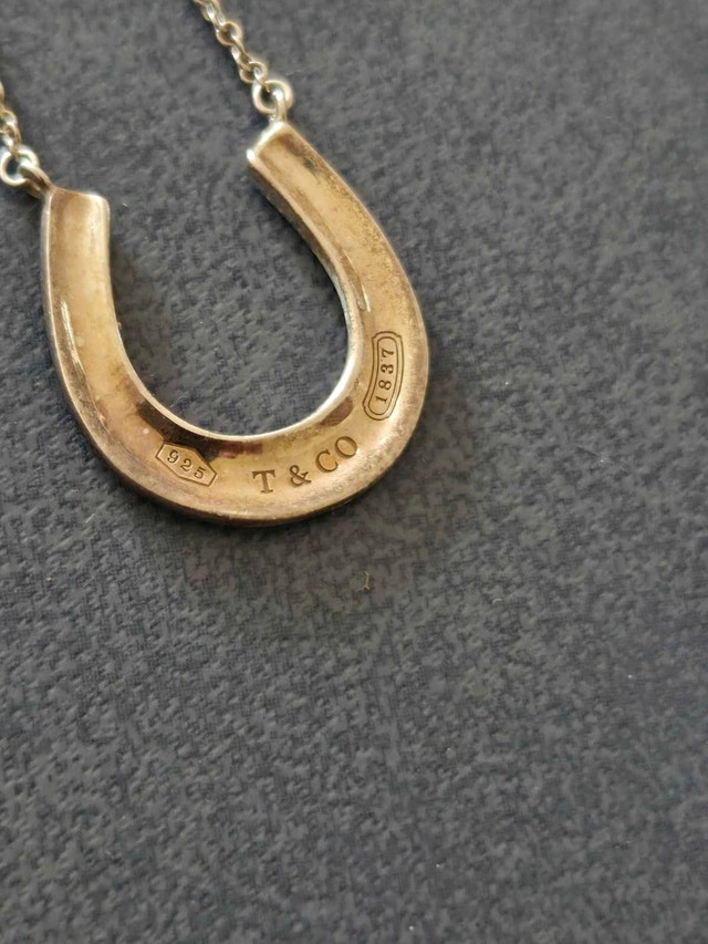 Tiffany & Co. 1837 Horseshoe Pendant Necklace - photo 2