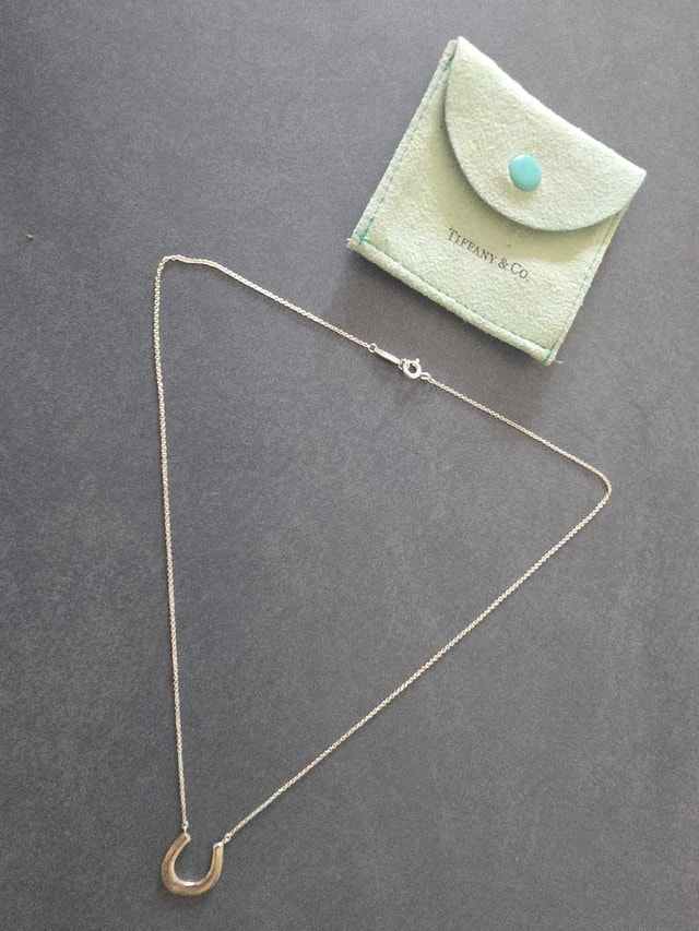 Tiffany & Co. 1837 Horseshoe Pendant Necklace - photo 3