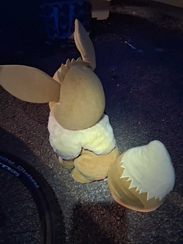 Pokémon Eevee Plush - photo 3