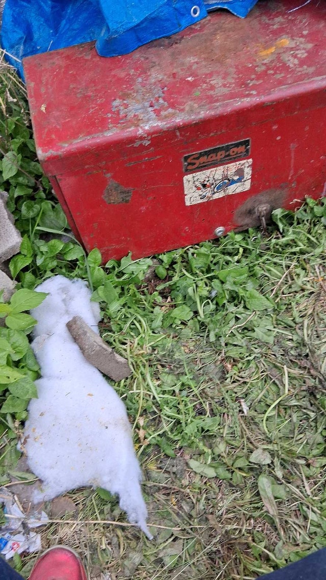 Snap-on Tool Box - photo 2