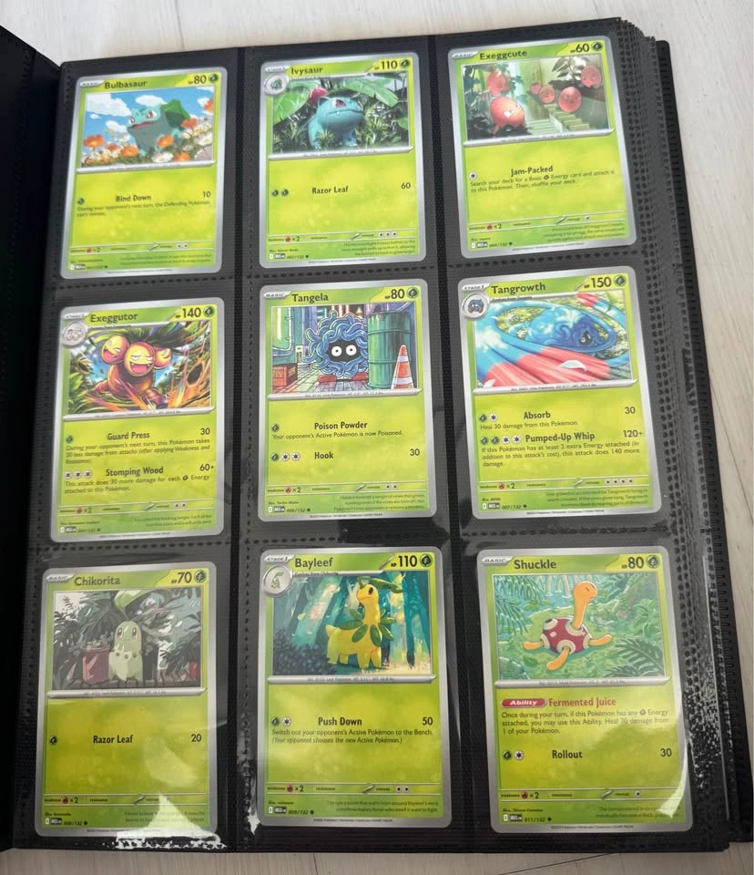 Binder of Pokémon cards - photo 2