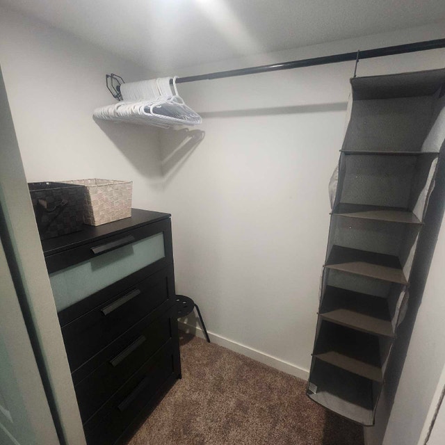 Brand New, Fully-Furnished, Private Suite - photo 4