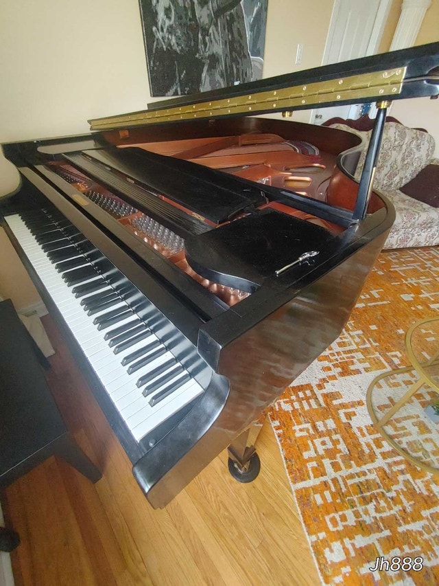Opus II Baby Grand Piano lightly used - photo 4