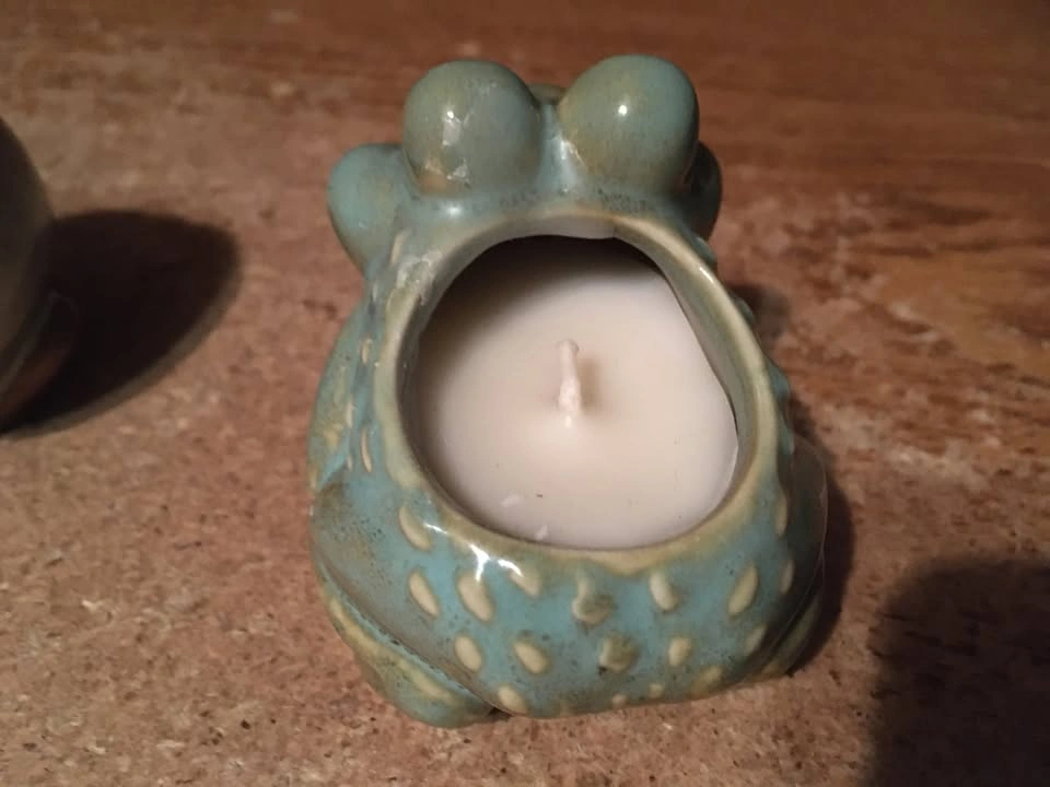 LOT OF 3 VINTAGE ANIMAL CANDLES FROG SNAIL TURTLE - photo 5
