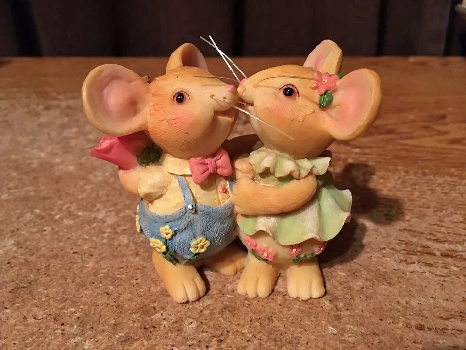CUTE LITTLE MOUSE LOVE COUPLE FLOWERS OVERALLS DRESS