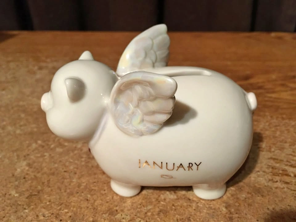 FLYING PIG PIGGY BANK JANUARY BIRTHDAY MONTH BIRTHSTONE