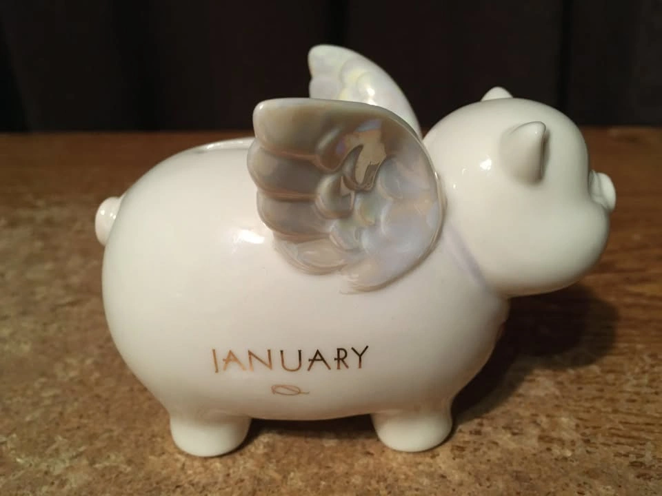 FLYING PIG PIGGY BANK JANUARY BIRTHDAY MONTH BIRTHSTONE - photo 2