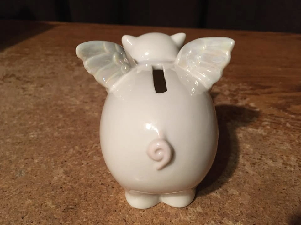 FLYING PIG PIGGY BANK JANUARY BIRTHDAY MONTH BIRTHSTONE - photo 3