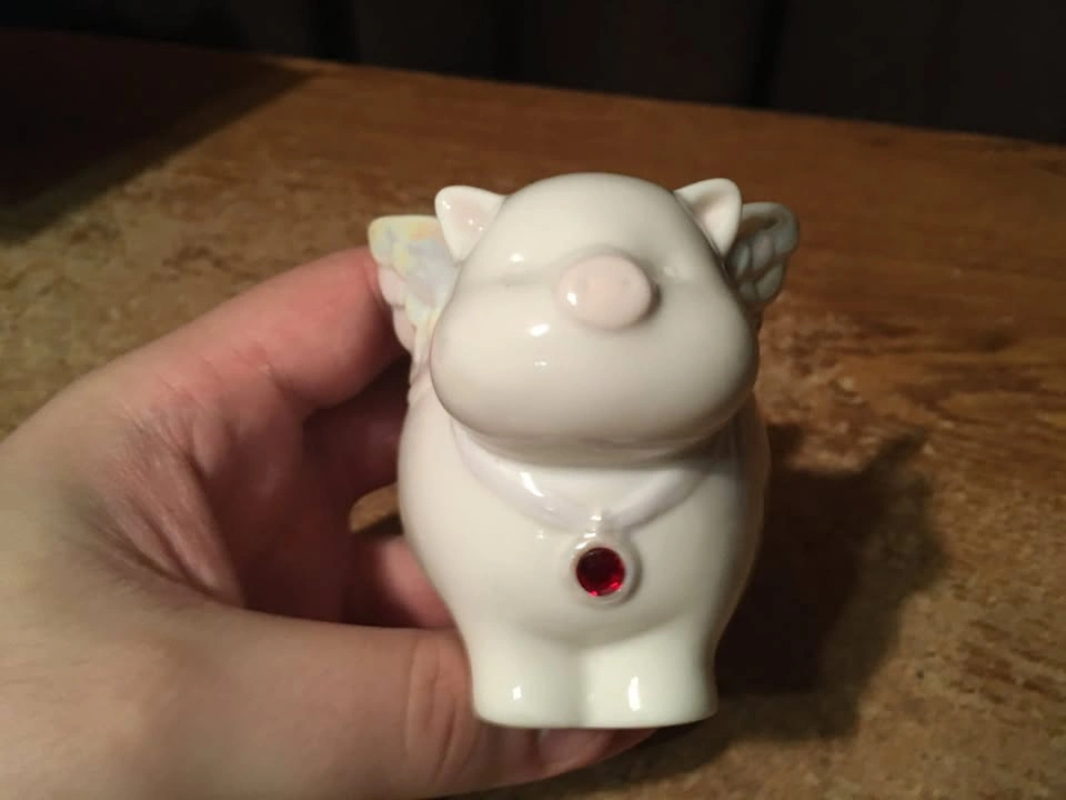 FLYING PIG PIGGY BANK JANUARY BIRTHDAY MONTH BIRTHSTONE - photo 4