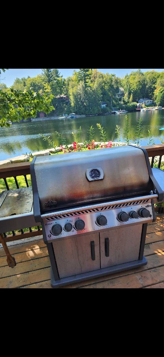 Napoleon 5 Burner BBQ + Side Burners – Premium Grill