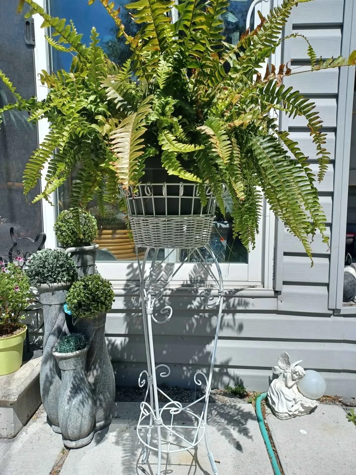 A Nice Vintage White Wicker and White Metal Plant Stand - photo 4