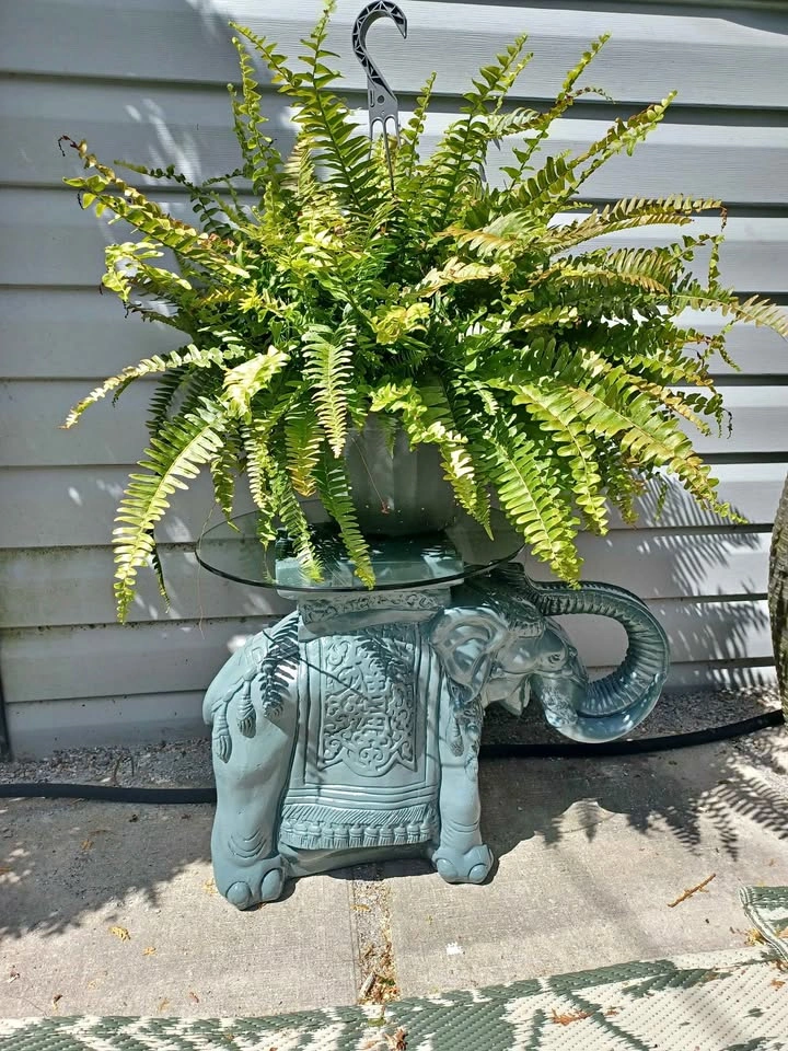 Grey Elephant Plant Stand/Side Table with Glass Top