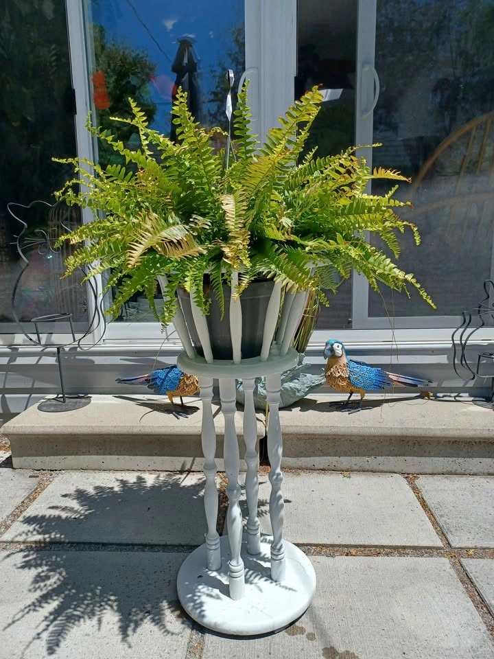 Solid Wood Vintage Spindle Leg Plant Stand in Good Condition - photo 2