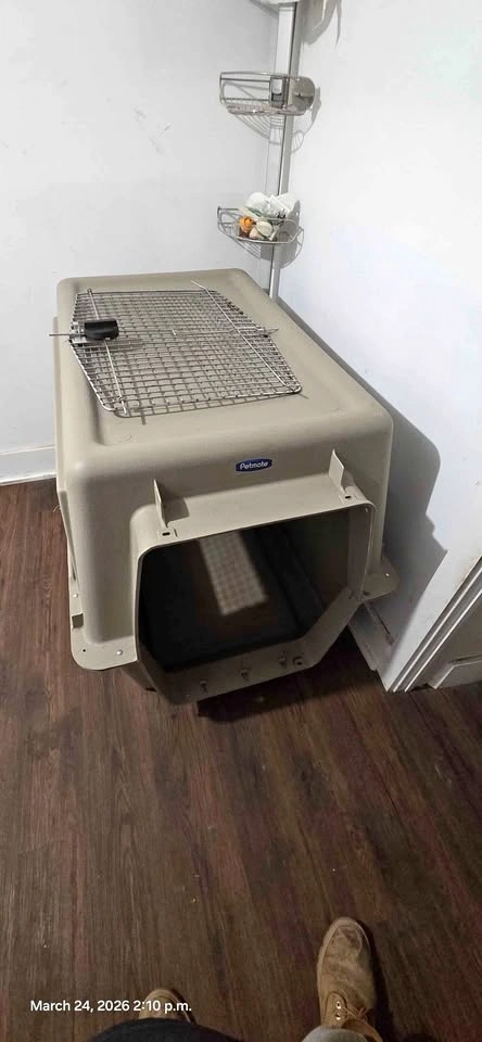 large dog crate