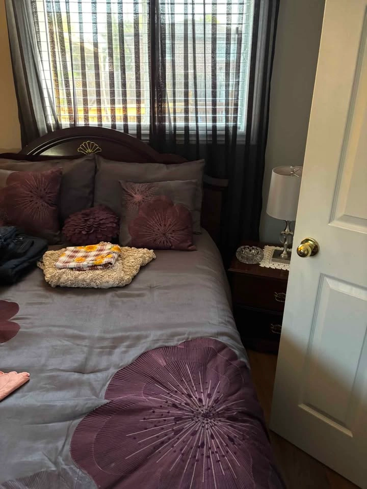 1 Bed 1 Bath - Apartment - photo 3