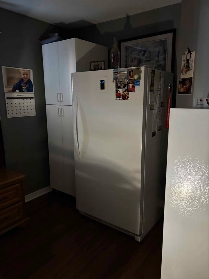 1 Bed 1 Bath - Apartment - photo 4
