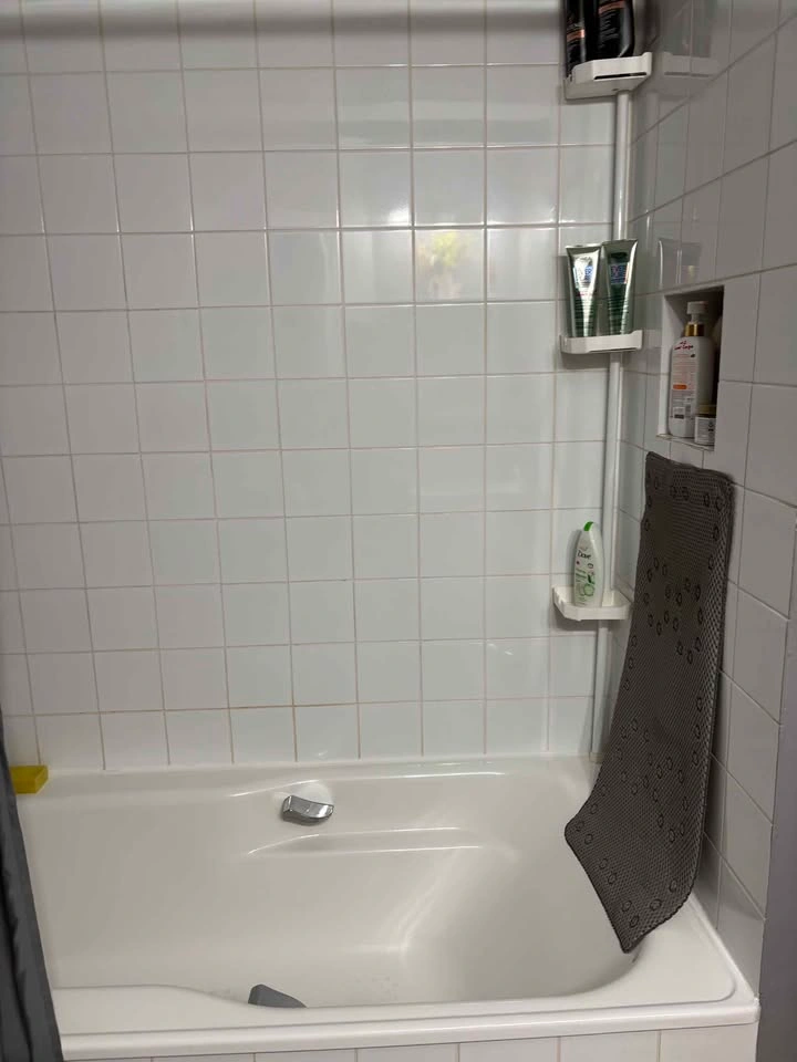 1 Bed 1 Bath - Apartment - photo 5