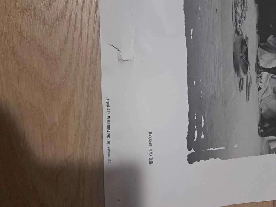 Original Maple Leaf Print Signed with Stamp - photo 3