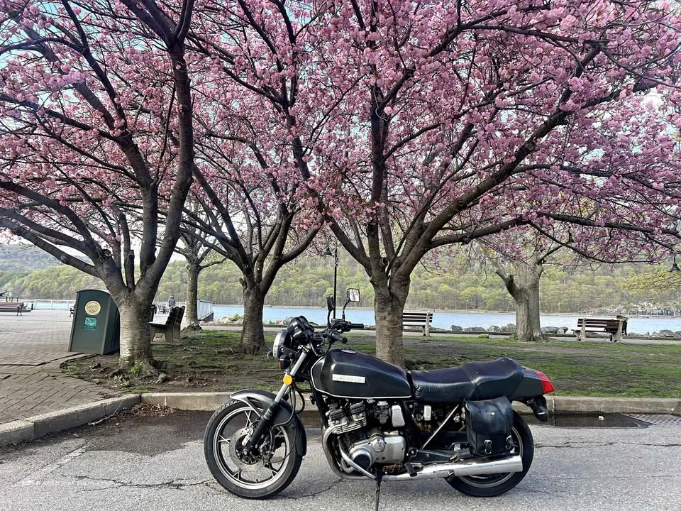 1982 Suzuki Gs750