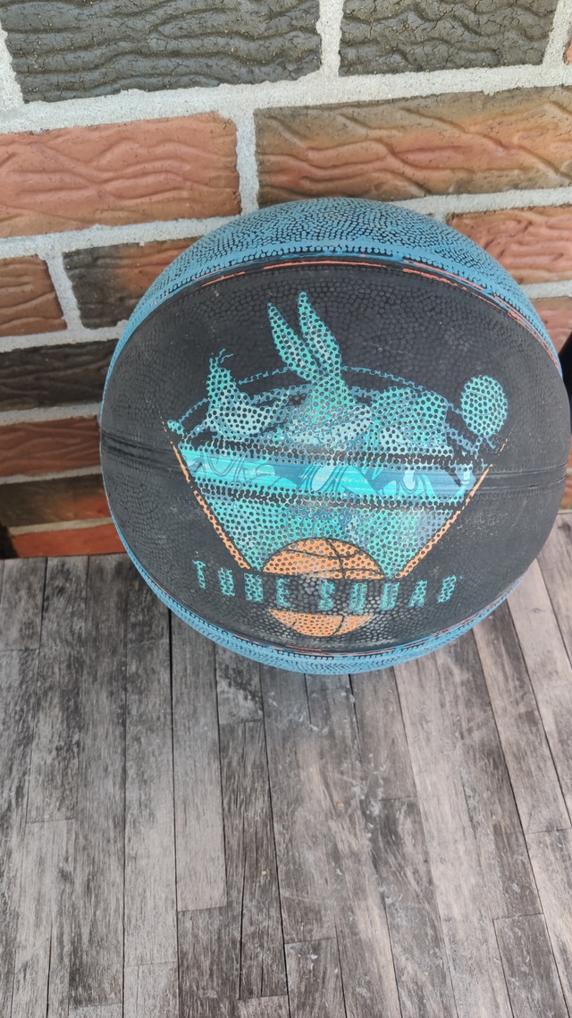 Spalding x Space Jam Tune Squad Basketball full size