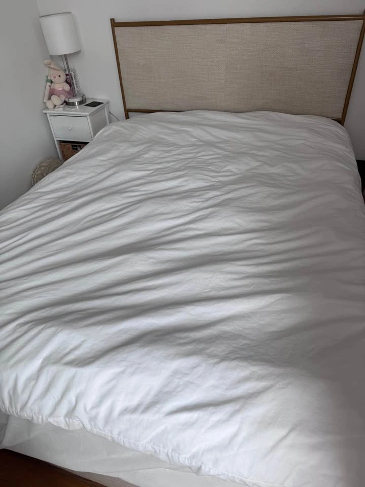 Full mattress and Bed Frame - photo 3