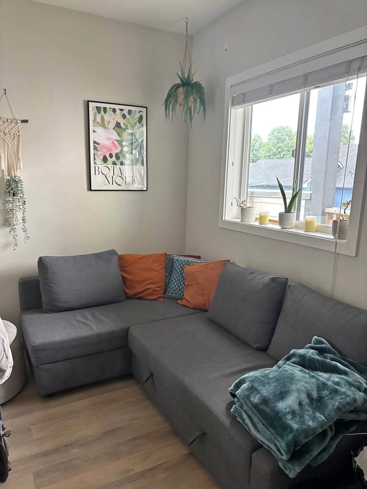 FRIHETEN Pull Out Couch