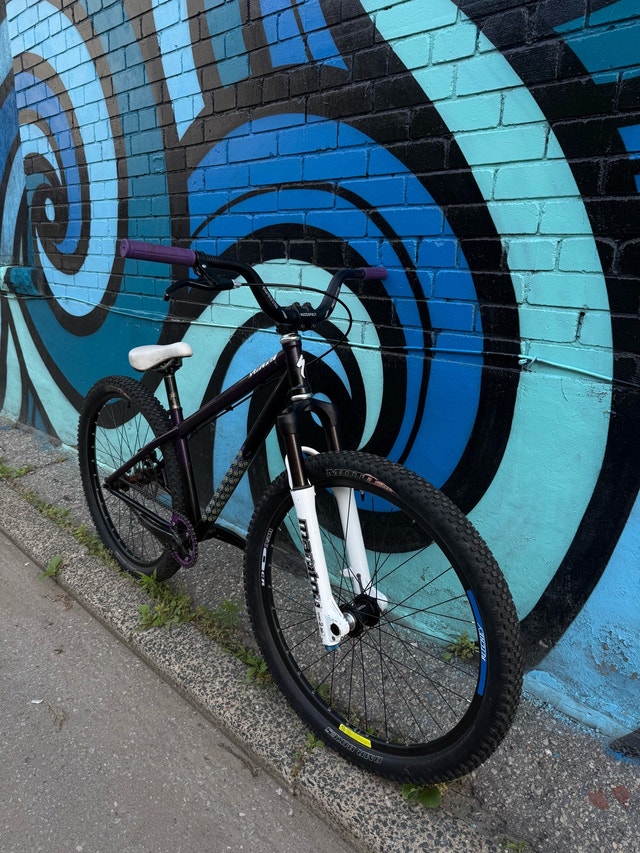 Specialized P1 dirt jumper bike