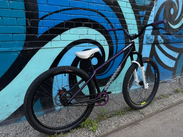 Specialized P1 dirt jumper bike - photo 3
