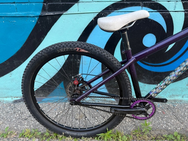 Specialized P1 dirt jumper bike - photo 4