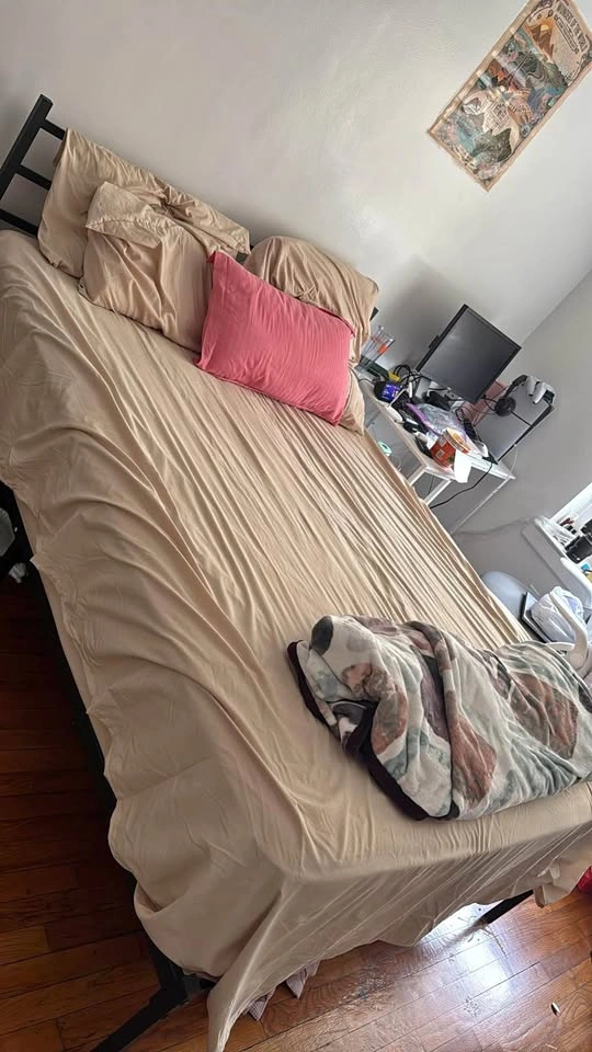 Queen Bed Frame and Mattress