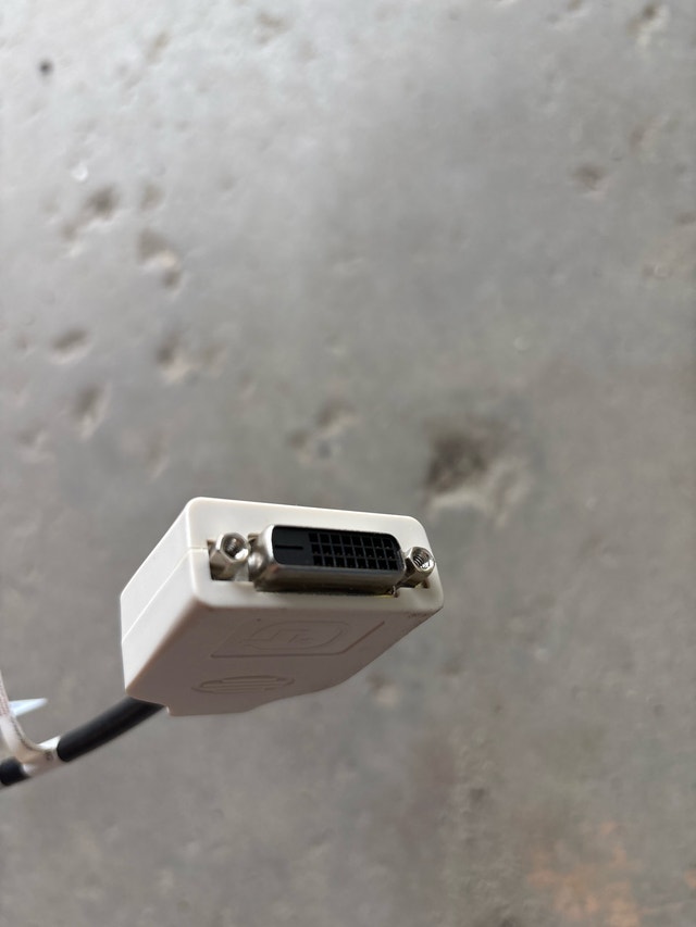 DisplayPort to DVI Adapter - photo 4