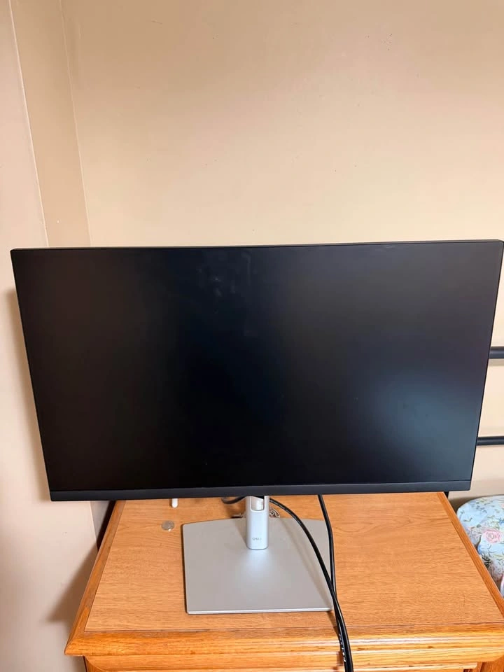 Dell 24" Professional Monitor (P2422H) - Excellent Condition - photo 2