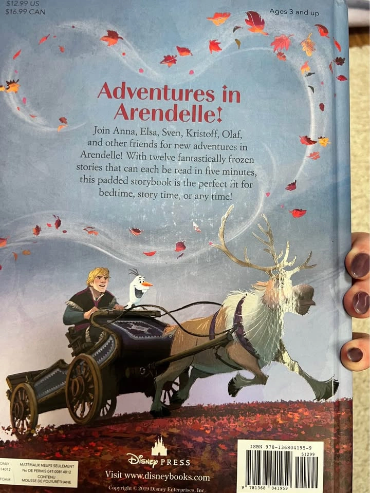 FROZEN set - 2 books and a blanket - photo 4