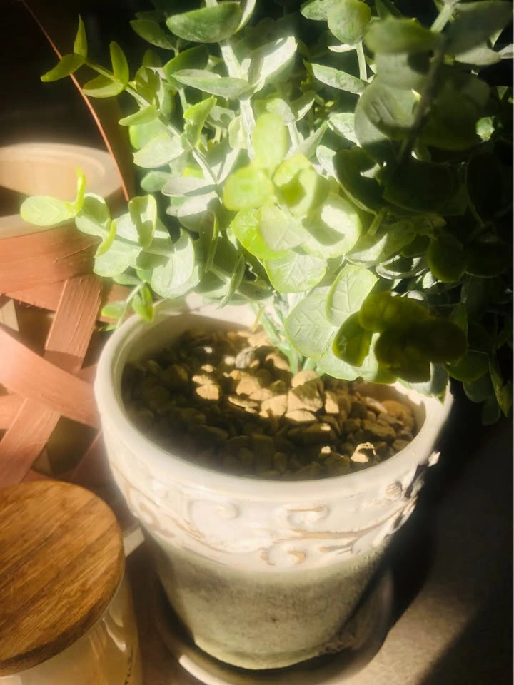 ⚽️ Home Lot: Outdoor Candle, Faux Eucalyptus, Wood Platter, etc - photo 3