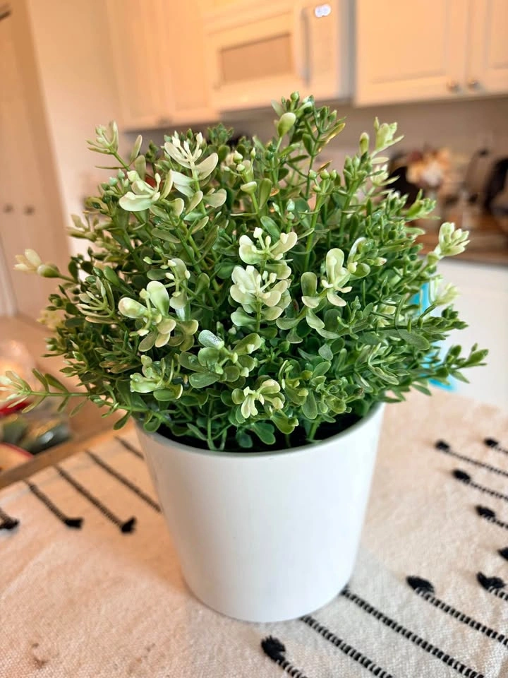 IKEA FEJKA Artificial Potted Plant