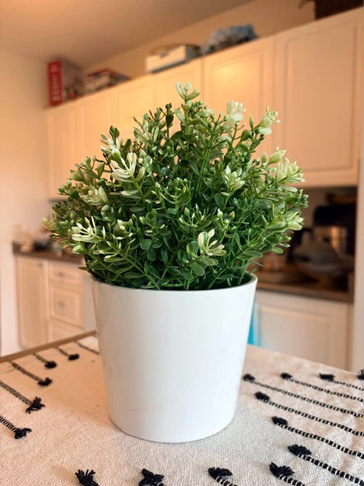 IKEA FEJKA Artificial Potted Plant - photo 2