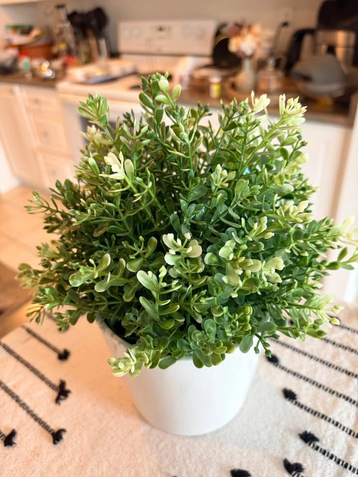 IKEA FEJKA Artificial Potted Plant - photo 3