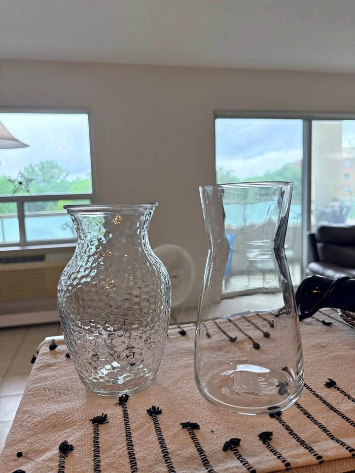 Set of 2 Clear Glass Vases