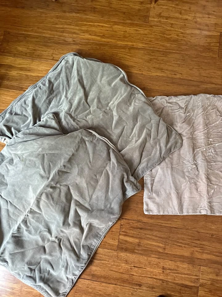 3 West Elm Decorative Pillow Covers