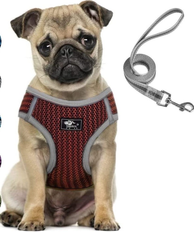 NEW Medium Dog and Cat Universal Harness with Leash