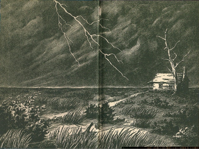 1949 The Riddle of the Stone Elephant Hard Cover Book - photo 2