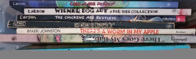 50+ Comic Books - Herman, Calvin & Hobbes, Far Side, Dilbert, ++ - photo 5