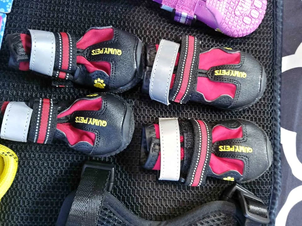 Brand New Dog Boots, Waterproof