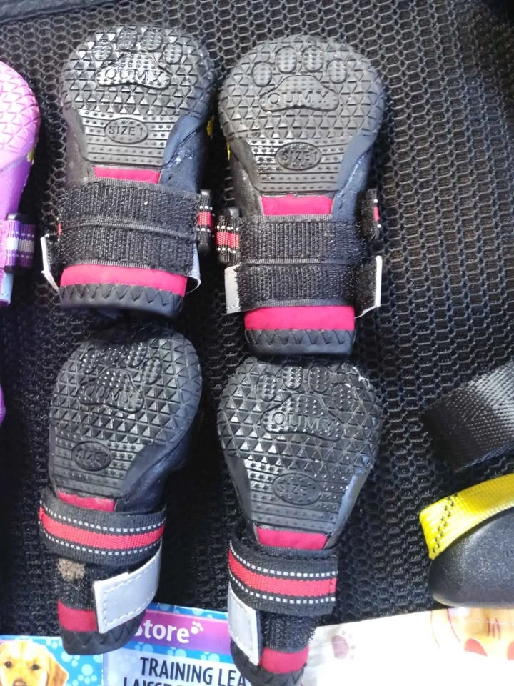 Brand New Dog Boots, Waterproof - photo 2