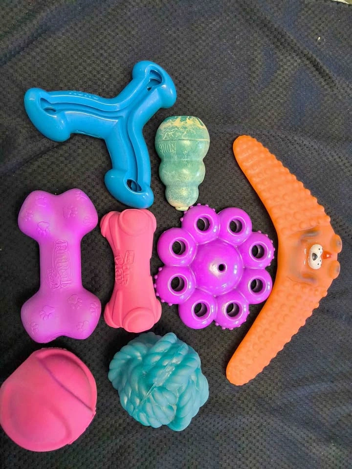 🐶 Premium Dog Toy Bundle – 8 Toys / $20 Takes All!