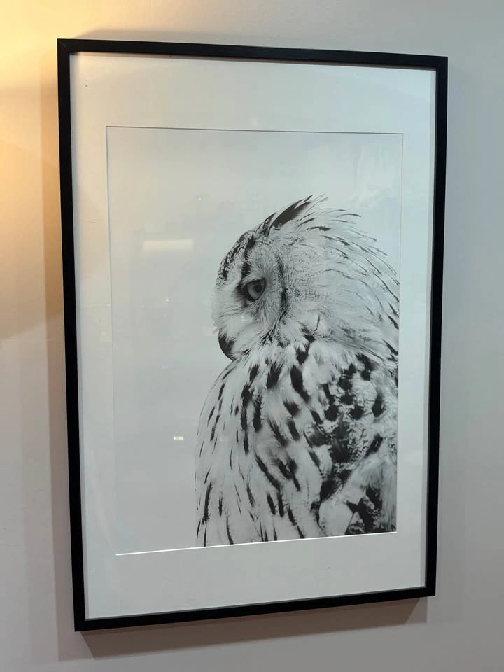 Set of 4 Large Framed Wall Art Pieces - photo 2