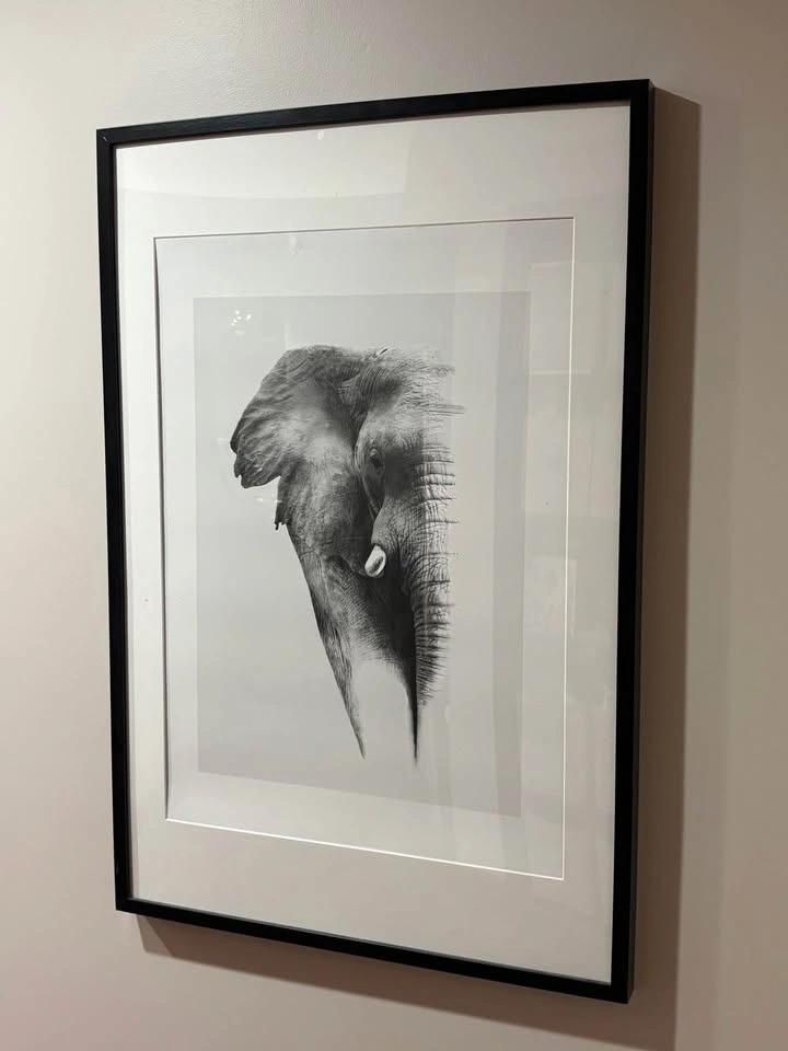 Set of 4 Large Framed Wall Art Pieces - photo 4